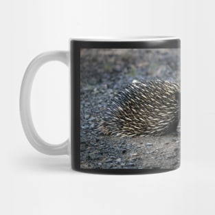 Thirsty Echidna Mug